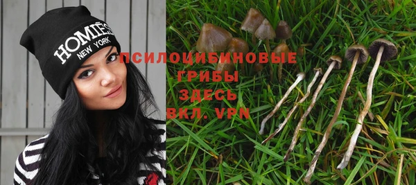 ALPHA-PVP Арсеньев