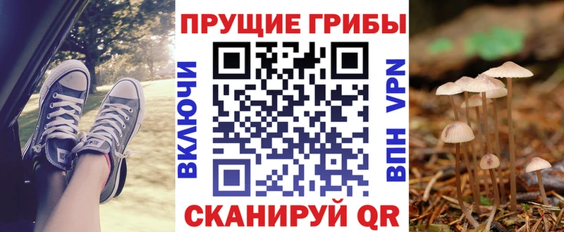 Псилоцибиновые грибы Psilocybe  ссылка на мегу вход  Рыльск  купить  